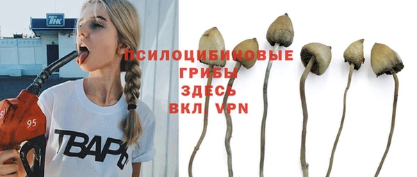 мдпв Вяземский