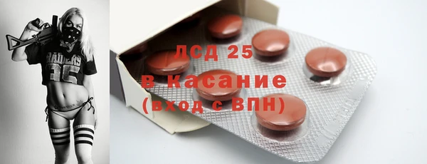 мдпв Вяземский