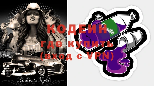 мдпв Вяземский