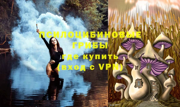 мдпв Вяземский