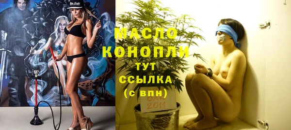 мдпв Вяземский