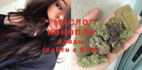 мдпв Вяземский