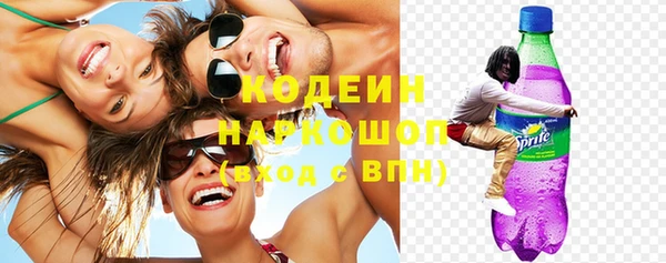 мдпв Вяземский
