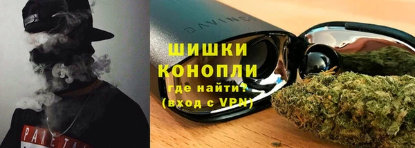 мдпв Вяземский